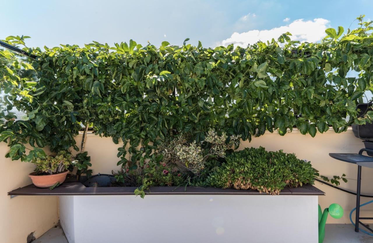 Apartament Casa Colibri - Solemar Sicilia Santa Flavia Zewnętrze zdjęcie
